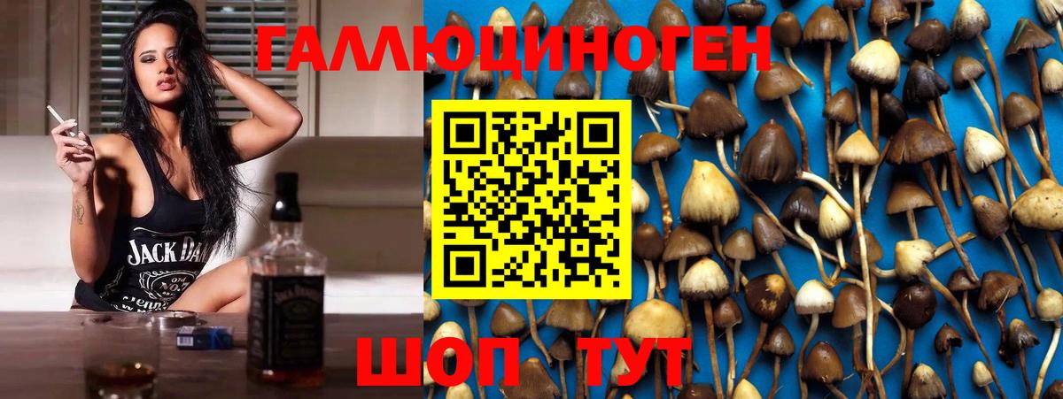 Гусь-Хрустальный  Псилоцибиновые грибы Psilocybe  Псилоцибиновые грибы Magic Shrooms  Вход с VPN 